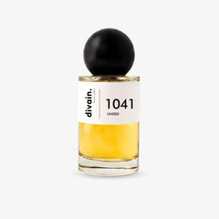 divain. 1041
